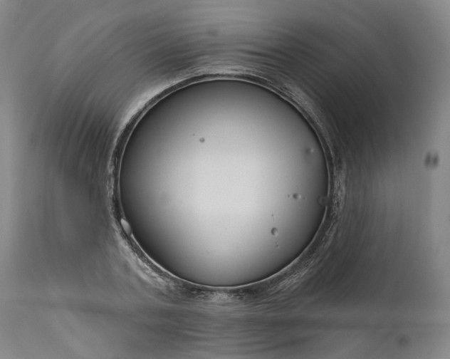 X0000111200787200907151412