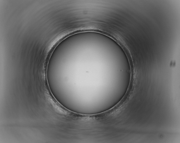 X0000111200789200907151412