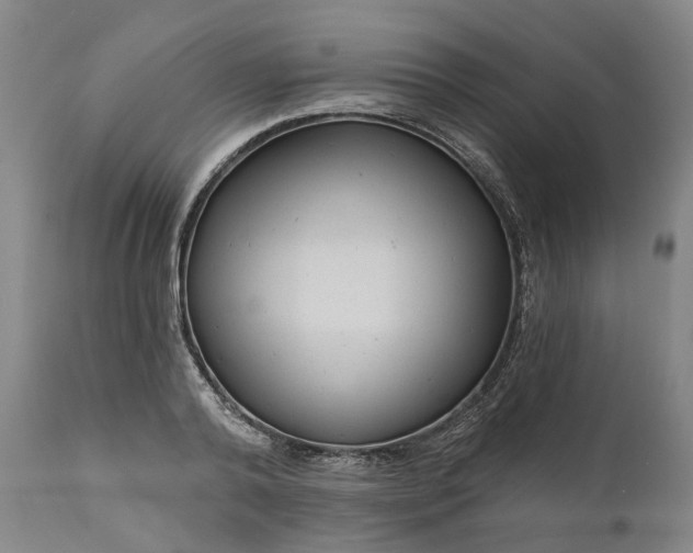 X0000111200792200907151412