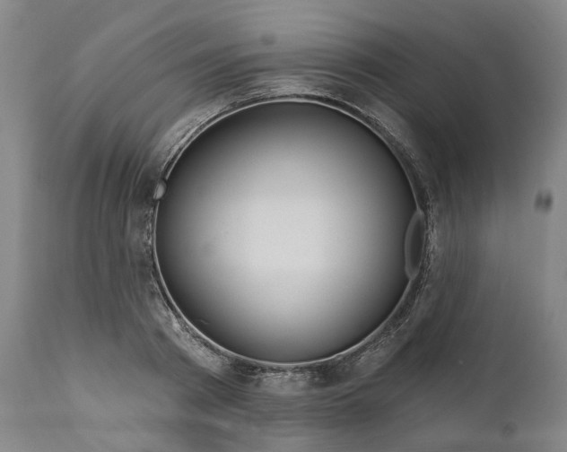 X0000111200793200907151412