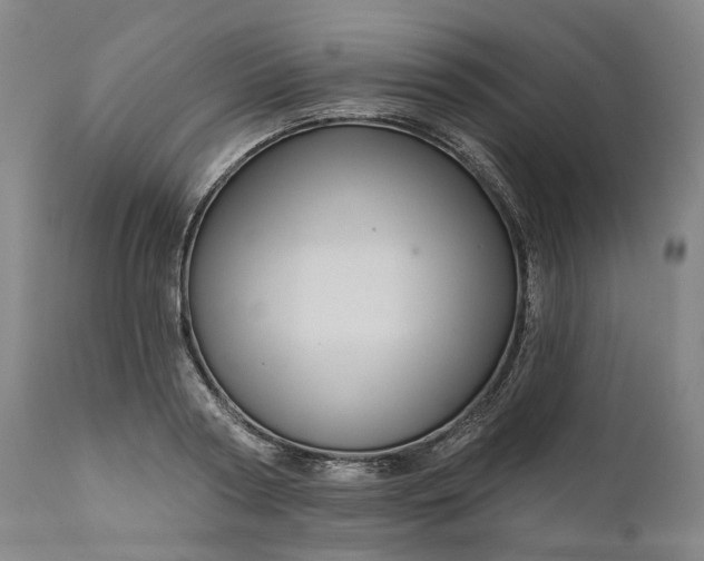 X0000111200794200907151412