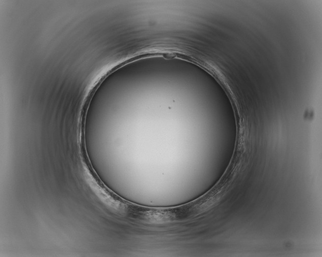 X0000111200795200907151412