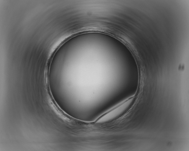 X0000111200796200907151412