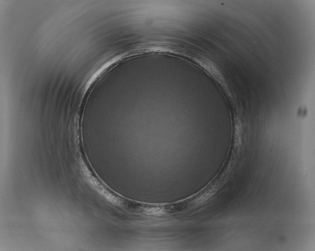 X0000111200798200907151412