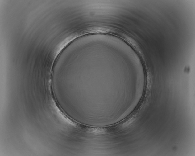 X0000111200802200907151412