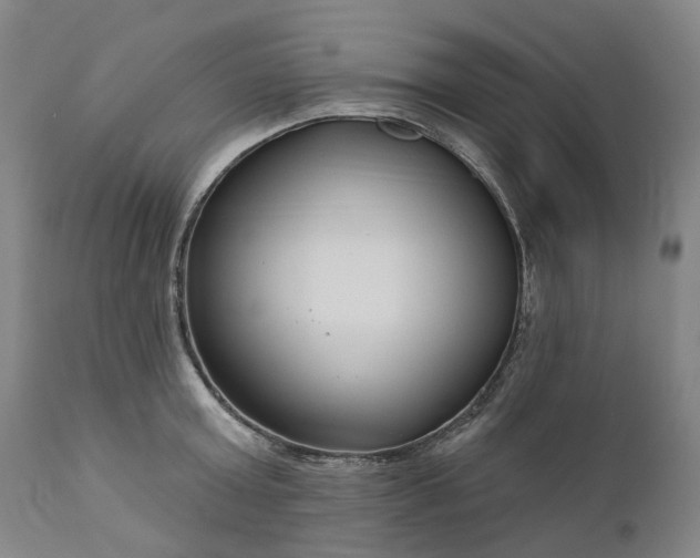 X0000111200803200907151412