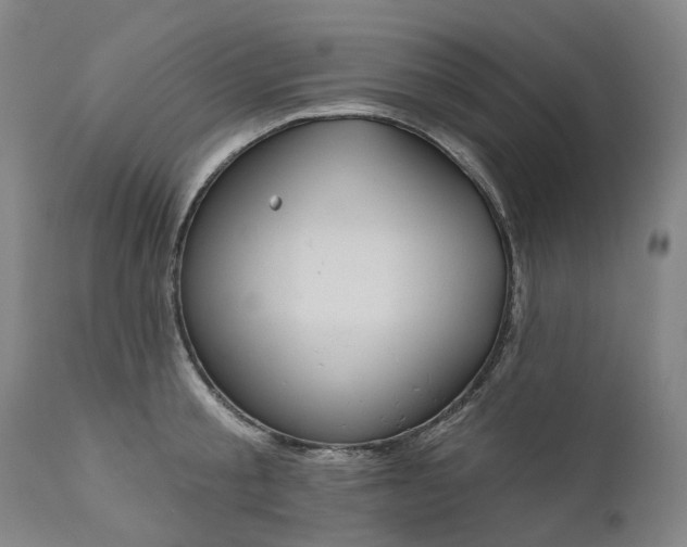 X0000111200805200907151412