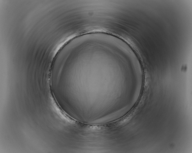 X0000111200806200907151412