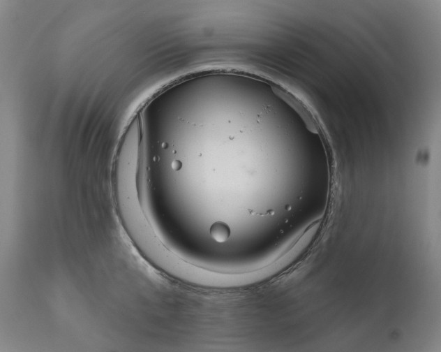 X0000111200807200907151412