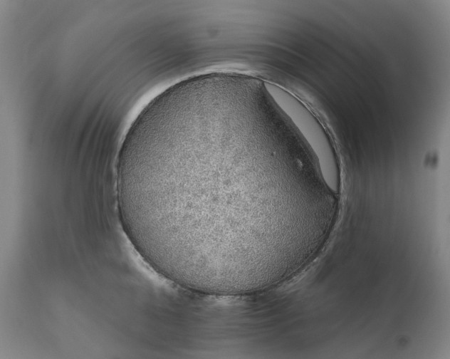 X0000111200808200907151412