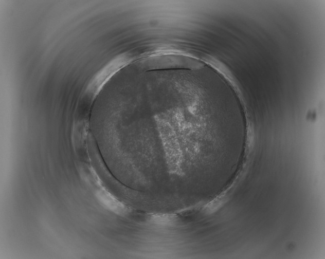 X0000111200809200907151412