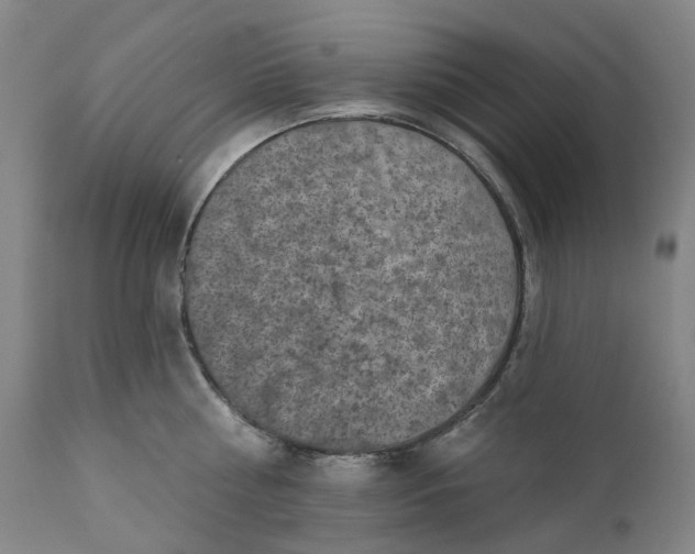 X0000111200810200907151412