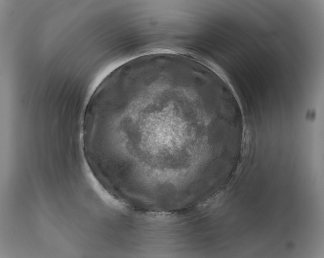 X0000111200811200907151412