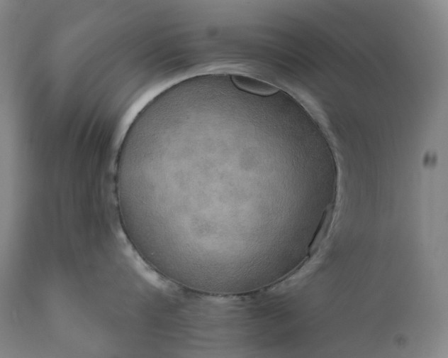 X0000111200816200907151412