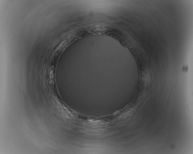 X0000111200818200907151411