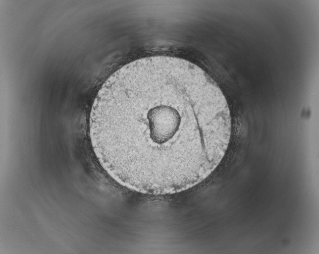 X0000111200820200907151411