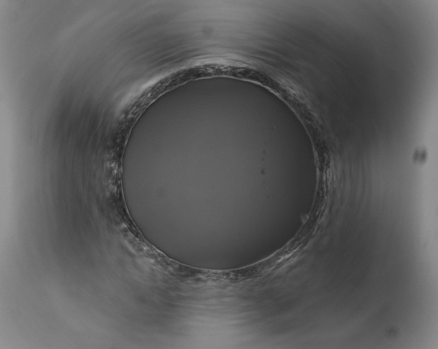 X0000111200822200907151411