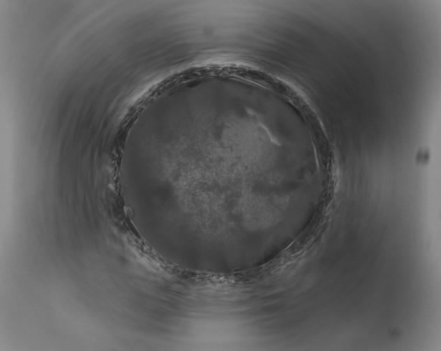 X0000111200823200907151411