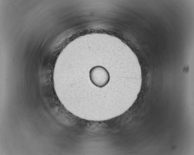 X0000111200824200907151411