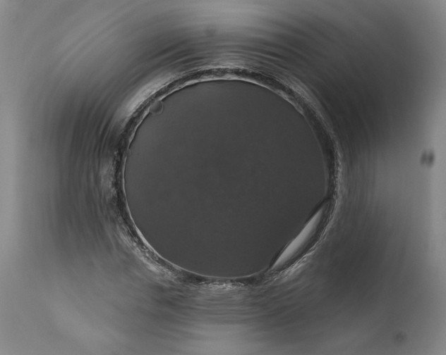 X0000111200826200907151411