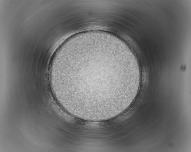 X0000111200828200907151411