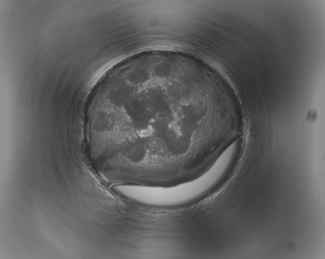 X0000111200829200907151411