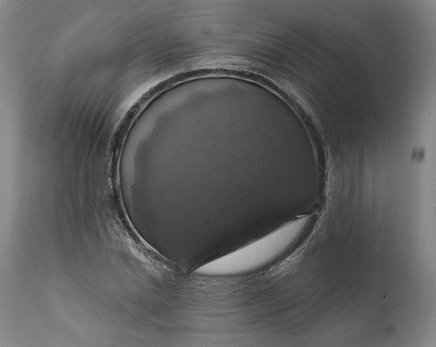 X0000111200830200907151411