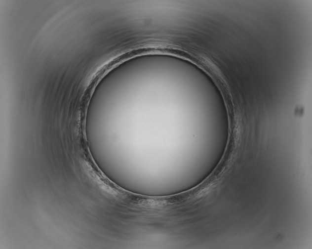 X0000111200831200907151411