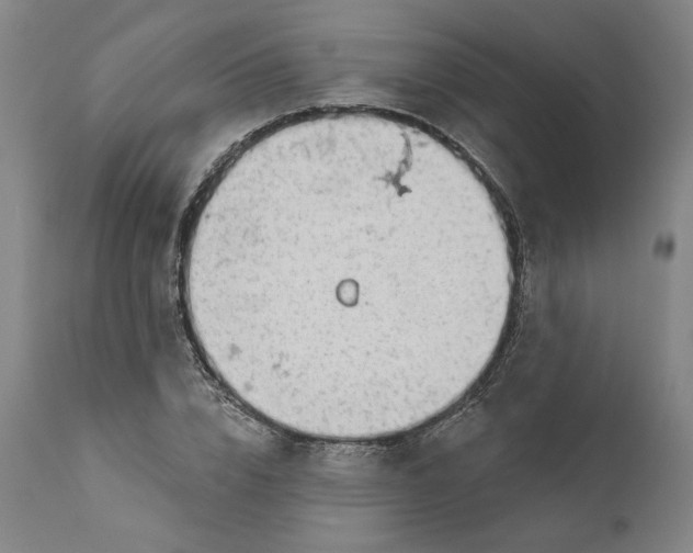 X0000111200832200907151411