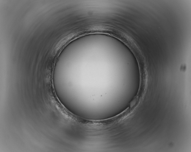 X0000111200833200907151411