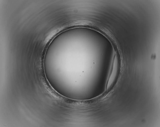 X0000111200834200907151411