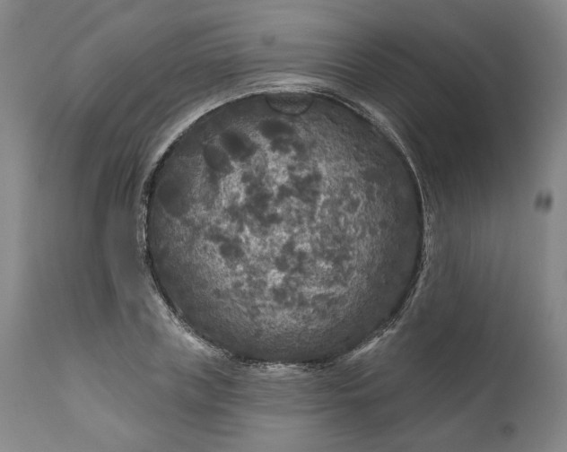 X0000111200835200907151411