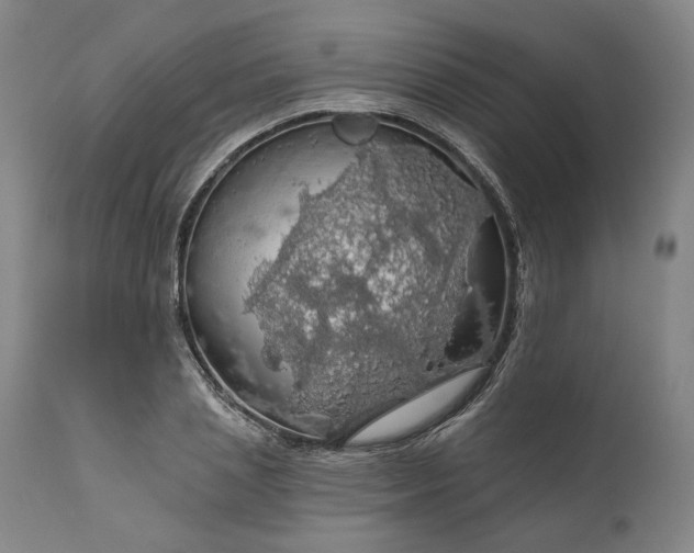 X0000111200837200907151411