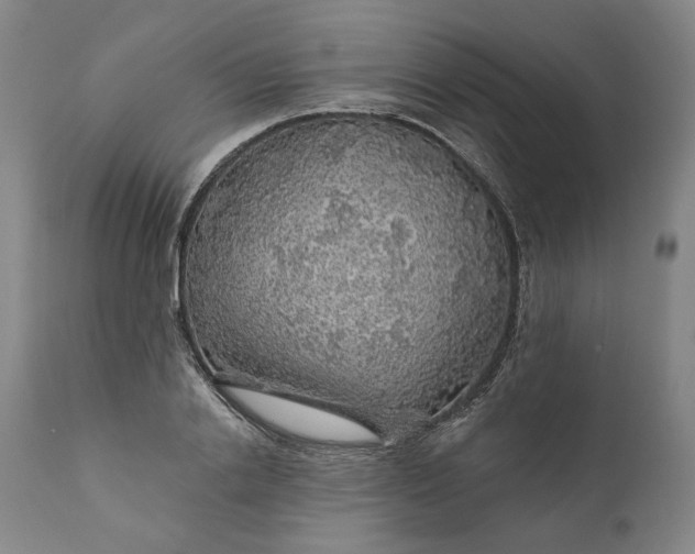 X0000111200838200907151411