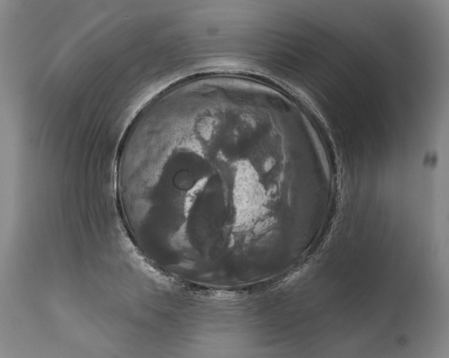 X0000111200839200907151411