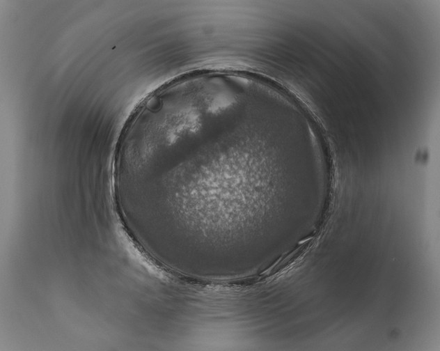 X0000111200840200907151411