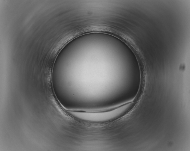 X0000111200841200907151411