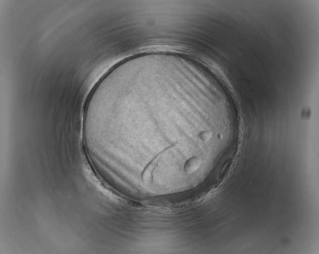 X0000111200844200907151412