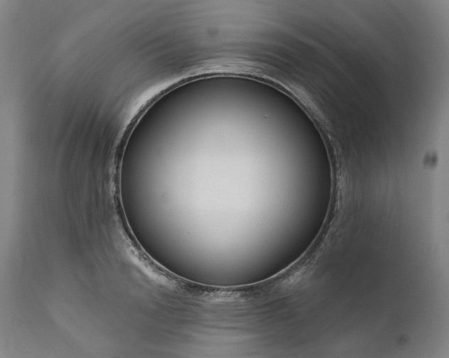 X0000111200846200907151412