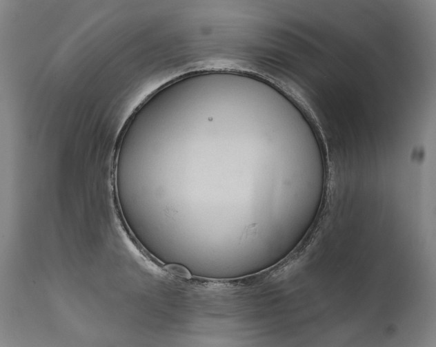 X0000111200847200907151412