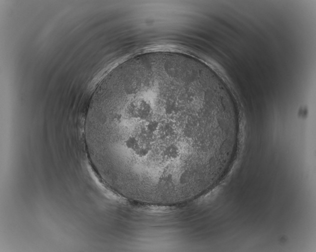 X0000111200849200907151412