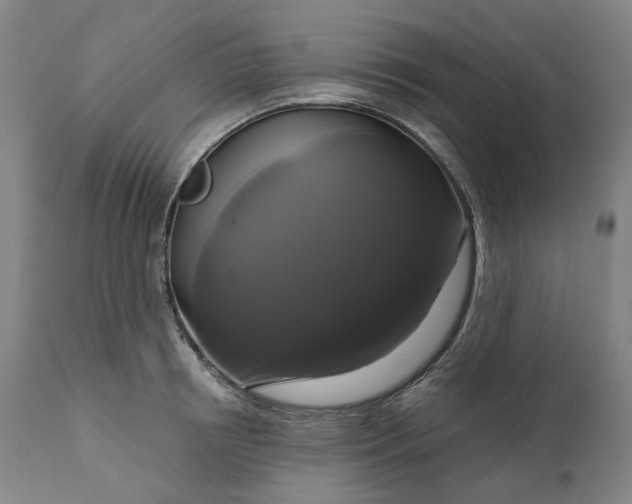 X0000111200850200907151412