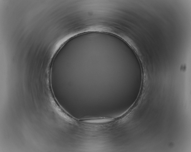 X0000111200854200907151412