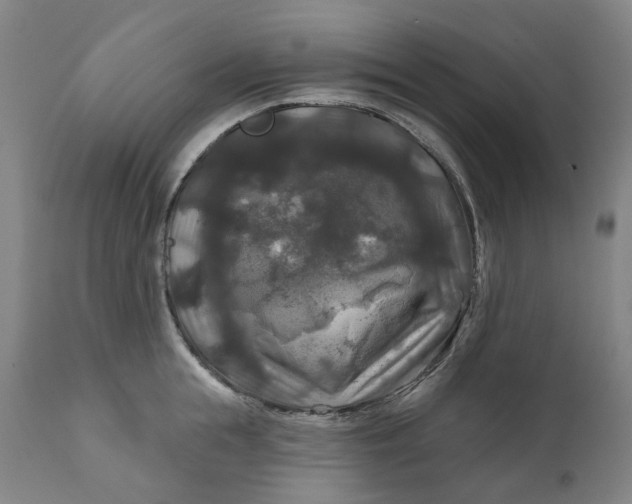 X0000111200855200907151412