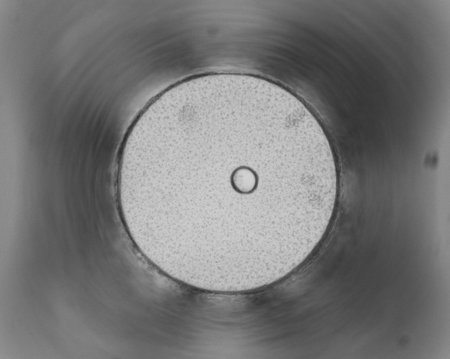 X0000111200856200907151412