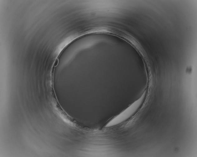 X0000111200858200907151412