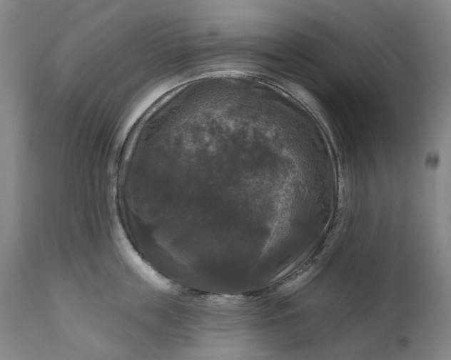 X0000111200859200907151412