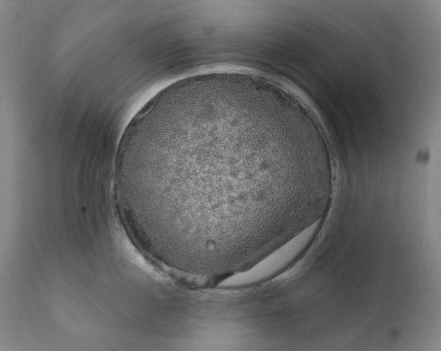 X0000111200860200907151412