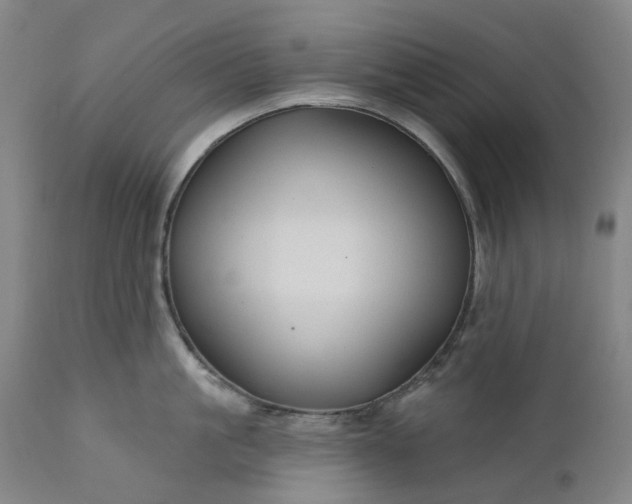 X0000111200861200907151412