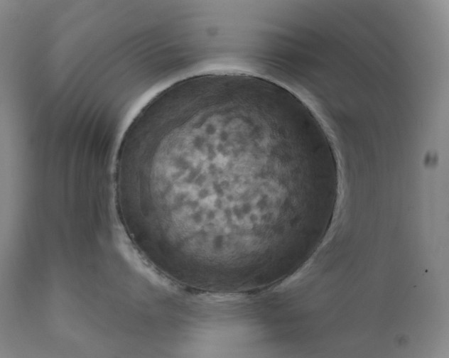 X0000111200864200907151412